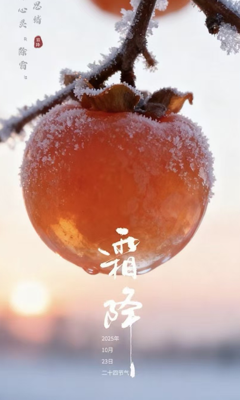 1761194798659645.jpg mmexport1761194327631_edit_625305646731666.jpg