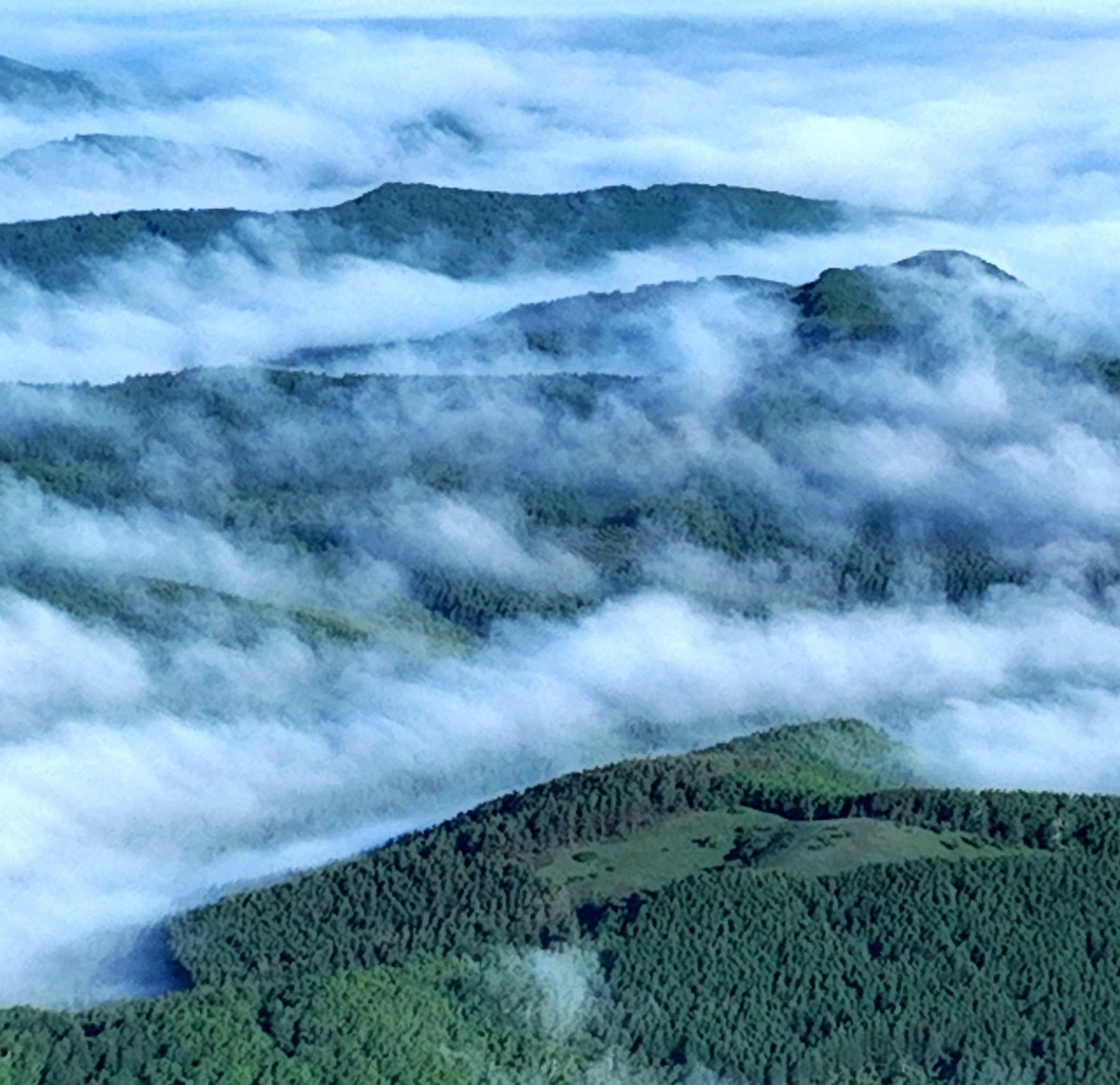 1761702552491056.jpg mmexport1761701813600_edit_127940841185685.jpg