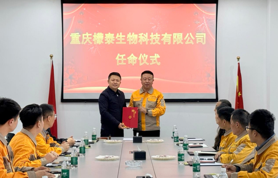 1762991163633595.png mmexport62cbcfa8407b2e63408820258d25c5ec_1762990514795_edit_652580746426985.png