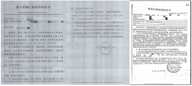 大连瓦房店永宁镇海防林遭毁17年，处置结果引发质疑